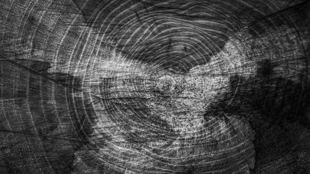 istock Annual rings on a tree cut, drawing. 1371777432