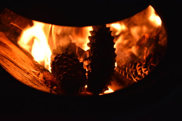 Looking into a wood burning stove. Looking on spruce cones and firewood burning and making the place nice and warm.
