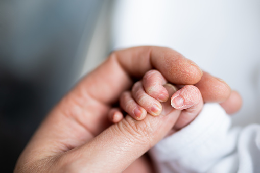 mano del bebé recién nacido que acaba de nacer sosteniendo el dedo de la mano de su padre. photo