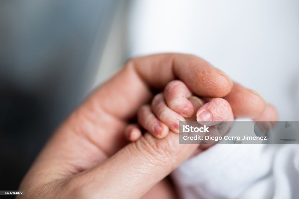 hand of newborn baby who has just been born holding the finger of his father's hand. Baby - Human Age Stock Photo