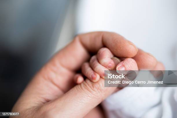 Hand Of Newborn Baby Who Has Just Been Born Holding The Finger Of His Fathers Hand Stock Photo - Download Image Now