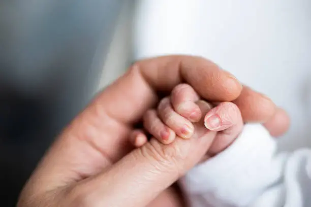 Photo of hand of newborn baby who has just been born holding the finger of his father's hand.