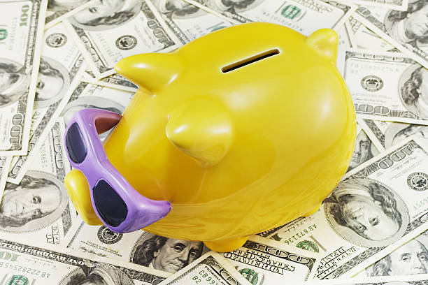 istock Piggy Bank on Dollars Background 137178332