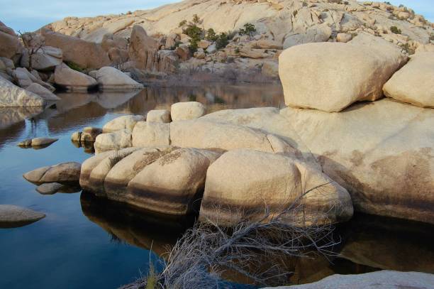 istock Rugged Landscape of Joshua Tree 1371783553