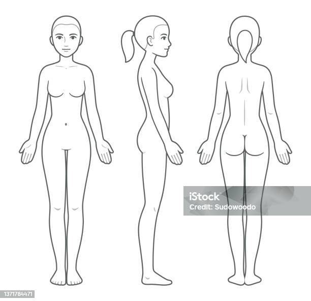 Woman Body Template Fashion Collection Female Stock Vector (Royalty Free)  2337469225