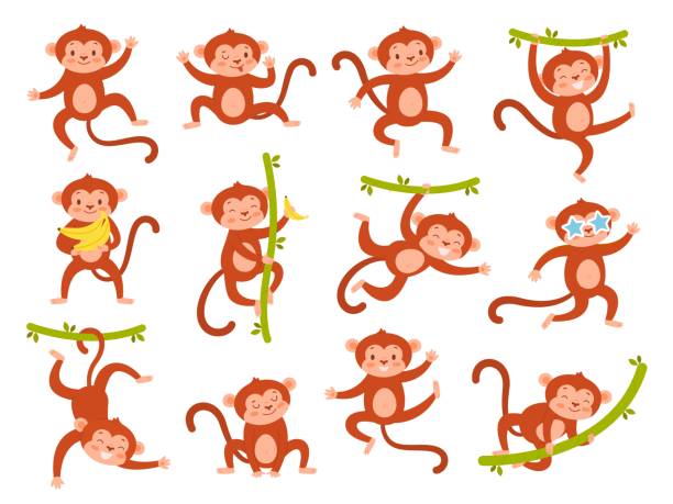 ilustraciones, imágenes clip art, dibujos animados e iconos de stock de lindo personaje de mono. divertida mascota animal bebé de la selva en diferentes poses, varias emociones, exóticos mamíferos tropicales jugando, simios colgados en enredaderas sostienen plátanos, dibujos animados de vida silvestre conjunto de vectores - cartoon monkey animal tree