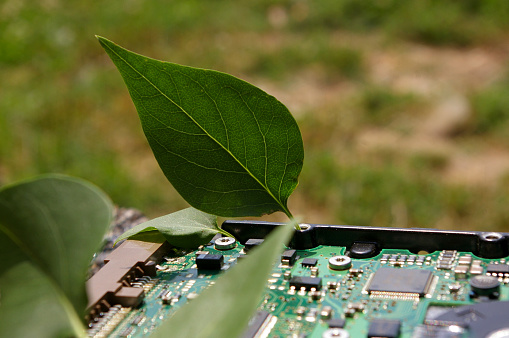Green technology, environmentally friendly electronic devices concepts. Green leaf on a laptop spare parts.