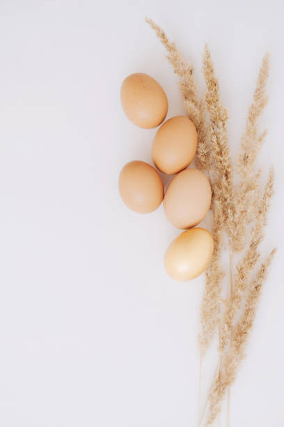 istock five chicken eggs and spikelets on a white background top view, easter wallpaper in eco style 1371786994