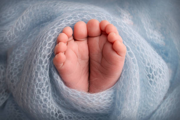 Tiny, cute, bare feet of a little caucasian newborn baby girl or boy, two weeks old, wrapped in a blue soft and cozy blanket. Professional studio macro photography of a newborn. Fingers, feet, heels. pies pequeños, lindos y descalzos de una pequeña niña o niño recién nacido caucásico, de dos semanas de edad, envuelto en una manta azul suave y acogedora. estudio profesional de fotografía macro de un recién nacido. dedos, pies, talones.