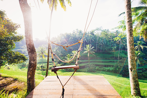 Swing at Tegalalang rice terrace in Bali