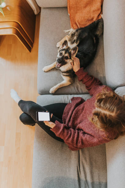 istock Young woman at home with puppy 1371794409