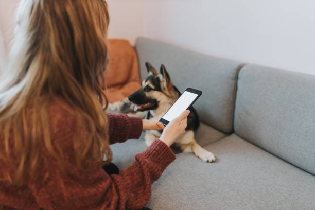 istock Young woman spending time with her puppy 1371794432