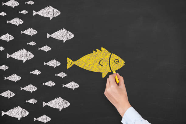 istock Leadership Concepts with Fishes on Chalkboard Background 1371795670