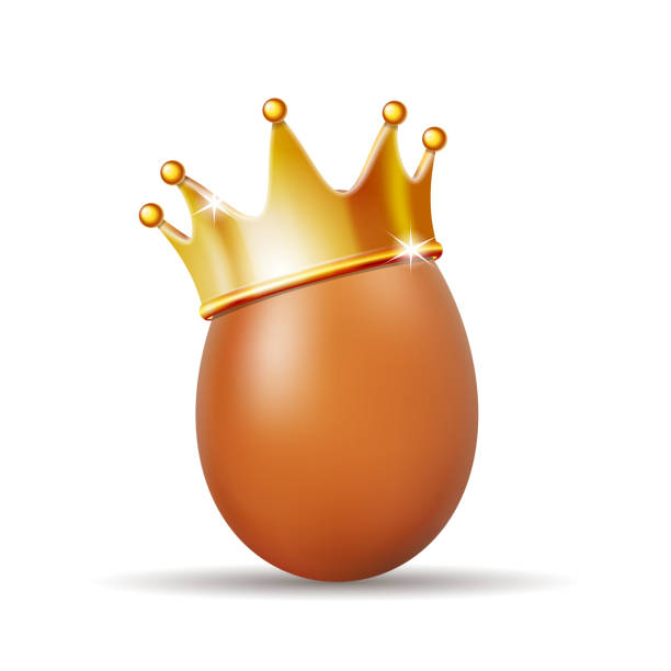 ilustrações de stock, clip art, desenhos animados e ícones de realistic egg with golden crown for design flyer, corporate template, brochure. - real food