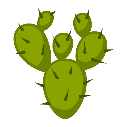 Illustration of cactus. Decorative spiky mexican cacti. Stylized icon.