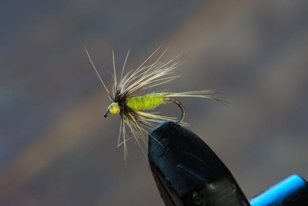 istock example of handmade fishing fly, fly tying 1371800981