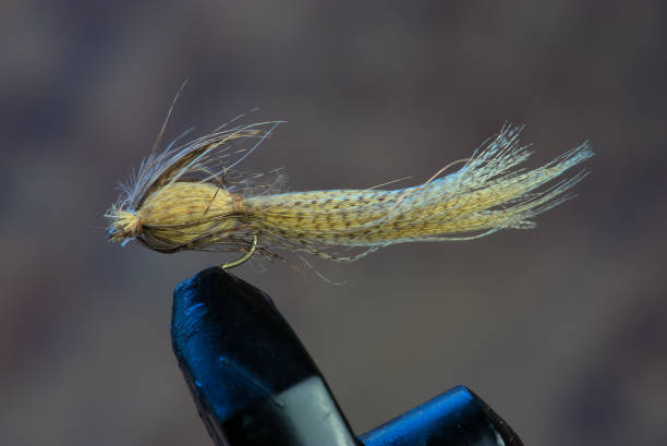istock example of handmade fishing fly, fly tying 1371801015