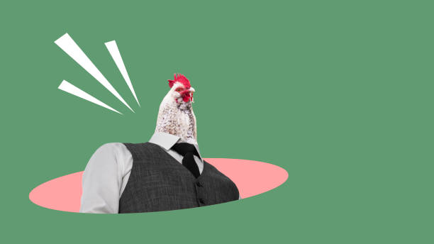 chicken with a tie