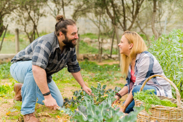 jóvenes jardineros felices sonriendo mientras trabajan en el campo - haunch fotografías e imágenes de stock