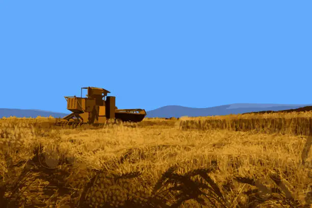 Vector illustration of Harvesting crop with a machine