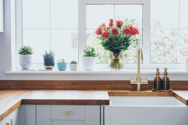 istock Modern and bright domestic kitchen with succulent plants, herbs and  roses on window sill 1371812329