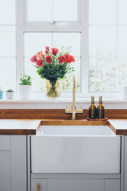 istock Modern and bright domestic kitchen with succulent plants, herbs and  roses on window sill 1371812330