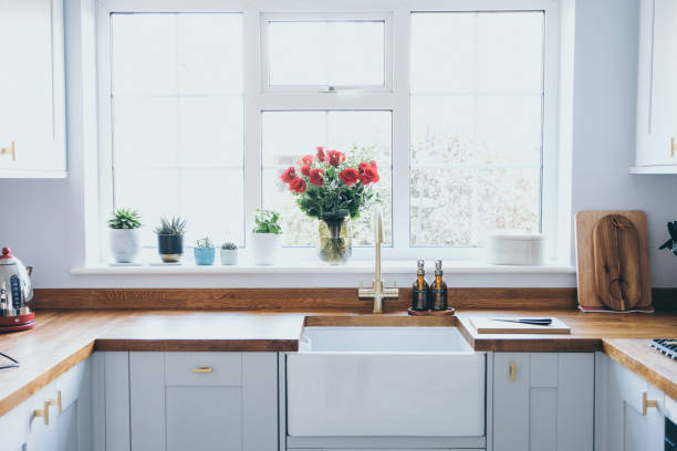 cucina domestica moderna e luminosa con piante grasse, erbe e rose sul davanzale della finestra - window sill foto e immagini stock