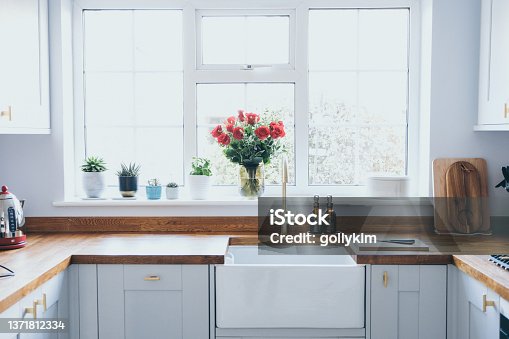 istock Modern and bright domestic kitchen with succulent plants, herbs and  roses on window sill 1371812334