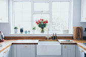 istock Modern and bright domestic kitchen with succulent plants, herbs and  roses on window sill 1371812334