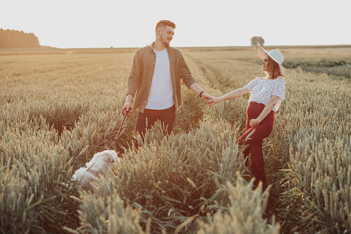 Young pregnant wife and husband walking at field, hold hands together. Couple waiting for baby, relax outdoors with golden retriever. Casual clothing married woman and man standing on a green grass