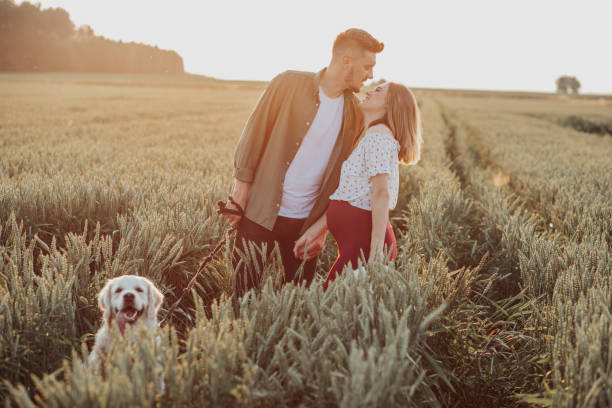 young pregnant wife and husband walking at field, hold hands together. couple waiting for baby, relax outdoors with dog - couple human pregnancy sunset walking imagens e fotografias de stock