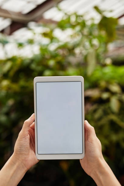 istock Digital tablet with blank screen held by young manager of large modern farm 1371820304