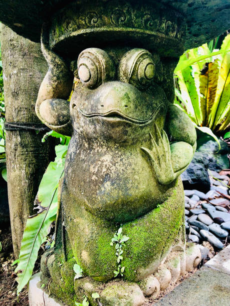 Green flying frog, Wallace's flying frog, Rhacophorus reinwardtii
