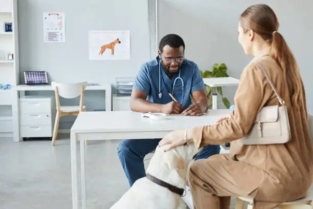 Young blackman in medical uniform prescribing medicine for labrador retriever dog sitting by female pet owner in clinics