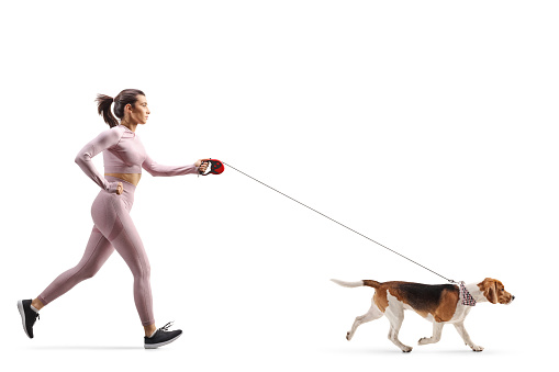 Full profile shot of a female in crop top and leggings running with a beagle dog on a leash isolated on white background