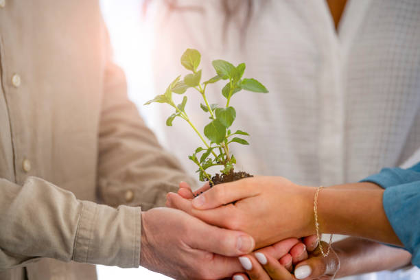istock Growth concept. Group holding a seedling plant. 1371824949