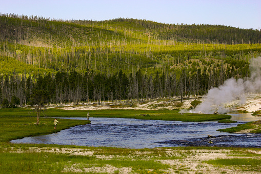 Fly fishing for trout in Wyoming