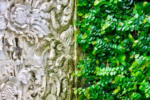 very old Islamic cemetery with Tree and leaves  - long exposure
