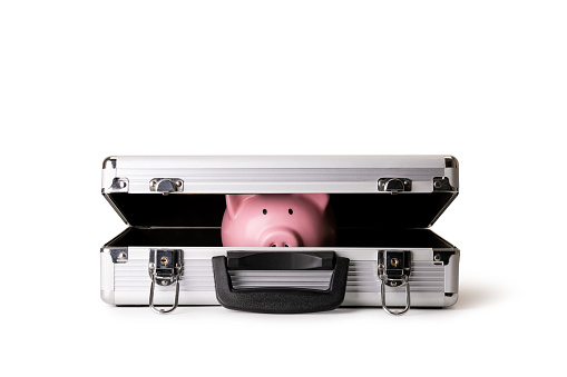 Piggy bank on brief case