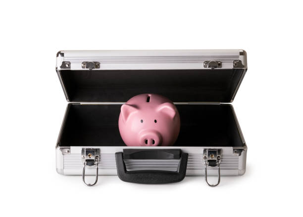 istock Piggy bank on brief case 1371835878