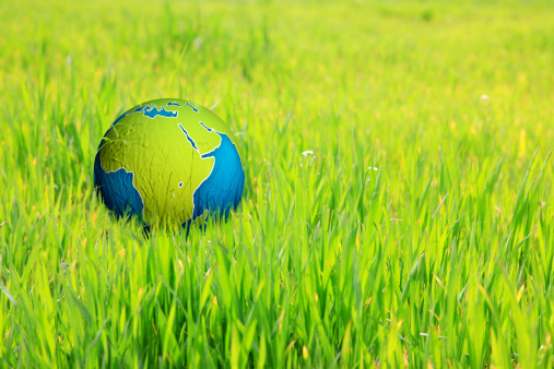 Earth globe in green grass