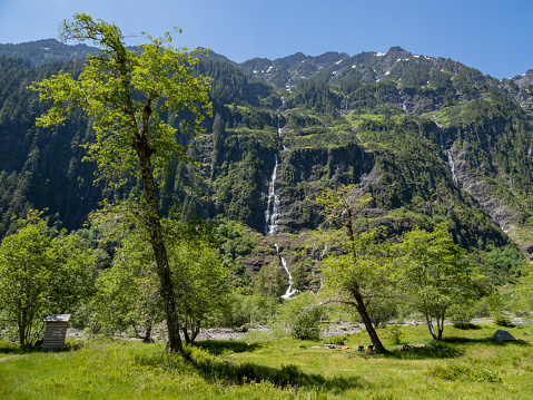 A view of the lush meadows and towering cliffs within Enchanted Valley in Olympic National Park, a campsite in the shade of the trees.