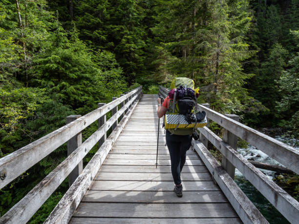 backpacker che attraversa il ponte di legno nella foresta lussureggiante - hiking mountain dirt scenics foto e immagini stock