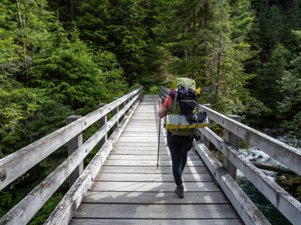 mochileiro cruzando ponte de madeira em floresta exuberante - hiking mountain dirt scenics - fotografias e filmes do acervo