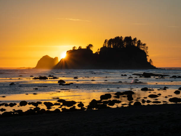 istock Sunset at Cape Alava, Pacific Northwest Sunset, Olympic National Park 1371840601