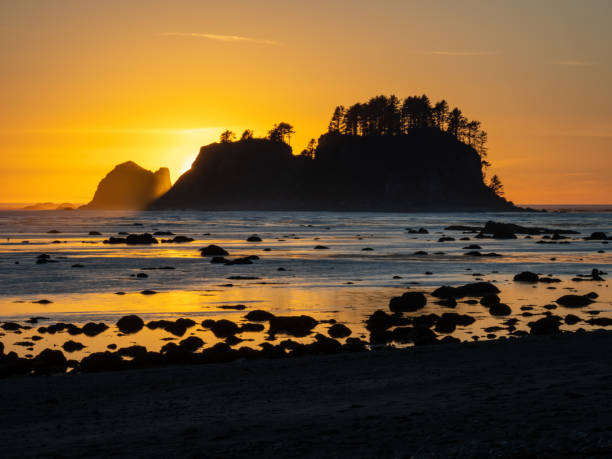 istock Sunset at Cape Alava, Pacific Northwest Sunset, Olympic National Park 1371840605