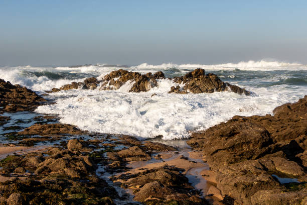 istock Foam wave with brown stones on the ocean 1371844516