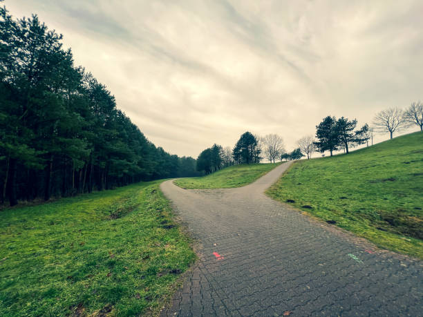 istock A path next to a forest and a meadow in winter in rainy weather. 1371845727