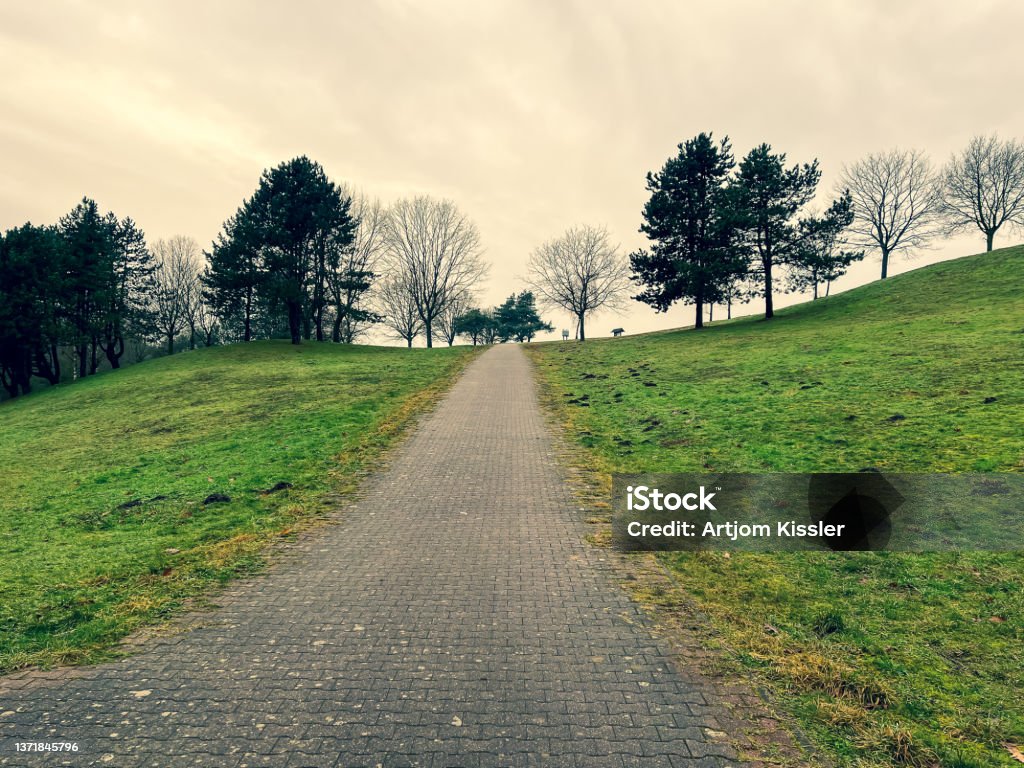 A path next to a forest and a meadow in winter in rainy weather. Apartment Stock Photo