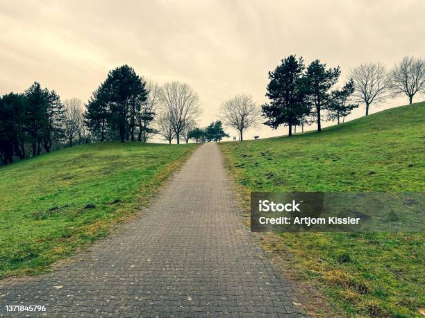 A Path Next To A Forest And A Meadow In Winter In Rainy Weather Stock Photo - Download Image Now